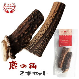 【単品購入用】鹿の角 2本セット 犬用おもちゃ デンタルケア 歯垢除去 国産 九州鹿の角 無添加 無着色 保存料不使用【宮崎県産・霧島ジビエ】