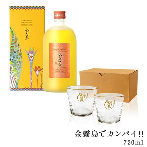 金霧島でカンパイ!! 720ml 25度 化粧箱入り オリジナルグラス2個 霧島酒造 健麗酒 酒 冬虫夏草 黒霧島黒 霧島EX 母の日 父の日 お中元 御中元 残暑見舞 敬老 長寿 お歳暮 御歳暮 バレンタイン 御