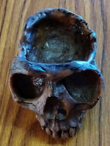 [hNꃁLVRi1_́@@hNE@iԍMEXICO10