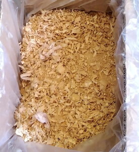 ˂񂷃JugVNK^nX^[˂񂷋˖؂ E܍ݖ1.5k@iԍoga1