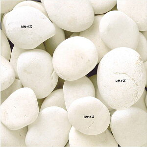 �w�l��z���s�x�I�����[���� �؃u���X�g�[�� �z���C�g 1�܁i20kg�j NH2-PS-1S