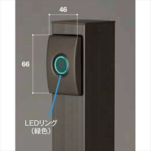 ���N�V�� 12V ���� �n�C�|�[���X�|�b�g���C�g �I�v�V���� DC12V�X�C�b�` 8 VLP66 �w���[�{���g���C�g�x �w�G�N�X�e���A�Ɩ� ���C�g�x