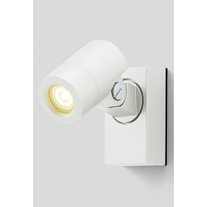 NV 12V  X|bgCg SP-G1^ 45° LED 8 VLL09 JW w[{gCgx wGNXeAƖ Cgx zCg