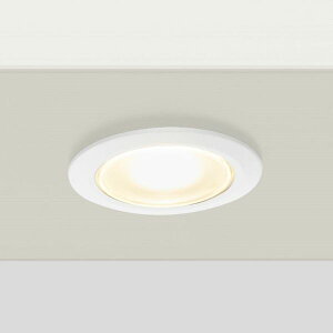 ���N�V�� 12V ���� �_�E�����C�g DL-G1�^ 30° LED 8 VLL23 JW �w���[�{���g���C�g�x �w�G�N�X�e���A�Ɩ� ���C�g�x �z���C�g