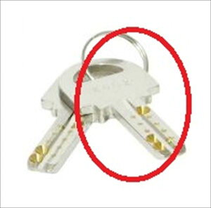 R[\jA IvV L[V[Y V_[ KEY-19-2 XyAL[