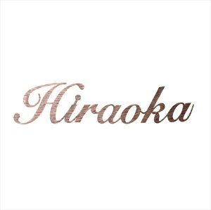  j[uXACA [U[Jbg IR-33 w\D TC ˌx