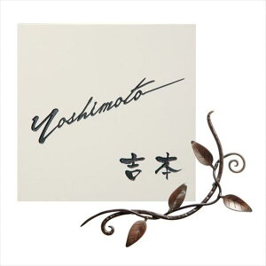  j[uXACA Zp[g NX[t IRA-173 w\D TC ˌx