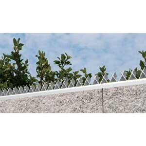 XcA~H A~EѕԂ AgxiG[W[GbNXj