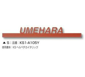 I[ C S KS1-A105Y w\D TC ˌx