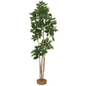 wlHÁx@^JV[ O[fRa@JN~m @1.8m@GD-67@#21512600