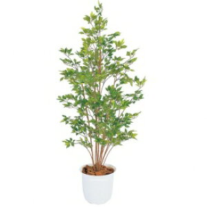 wlHÁx@^JV[ O[fRa@xW~@O[t@1.5m@GD-120G