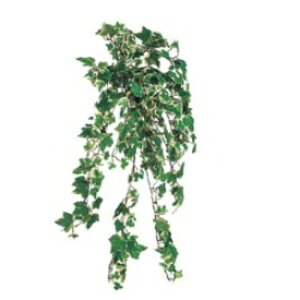 wlHÁx@^JV[ O[ObY nMO@ACr[ubV@_uJ[@L50cm@GN-24W