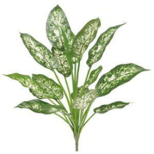 wlHÁx@^JV[ O[ObY OhJo[@fBtFoLA@L60cm@GN-72