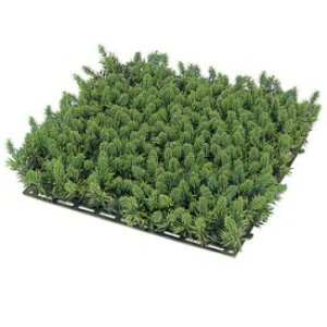 wlHÁx@^JV[ lHہ@XMSPZbg@27×27cm@GN-21