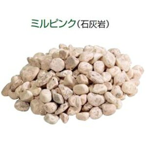 �y�y�VSS���N�[�|���z�z���z���m�H�Ɓ@�~���X�g�[���@�i���a��20�`40mm�j�@1�܁@����18kg���@�w(TOYO)�@�g�[���[�x �~���s���N