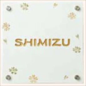 NV t@NVjbg EB_ TCpl LcăTC p^[IW^Cv w\D TC ˌx