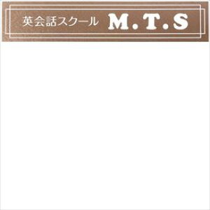 ێO^JM hCGb`O DRS-P-4 w\D TCx