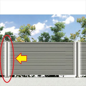 ^JV[@Go[A[gtFX@j[At[|[@600p@tFX{͕̂ʔ@wO\tH[HɍœKx@wA~tFX@x