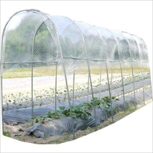 čH J悯nEX ߍݎ AM1235 wrj[nEX hHƁx