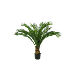 O[x tFCNO[ lHA ؁EOp \ec@UV pt A70TR111