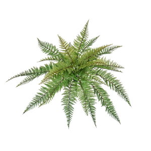 O[x tFCNO[ lHA EOp U[t@[@FUV A70TR201