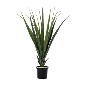 O[x tFCNO[ lHA ؁Ep p_iX pt A70TN571