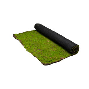 グローベン リフェイクグリーン 人工植物 苔装飾ロール・屋内用 モスシート A70TN600