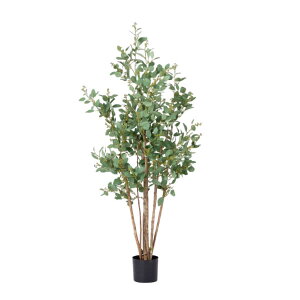 O[x tFCNO[ lHA ؁Ep [J@ pt A70TN185