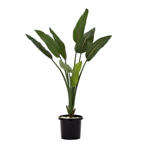 O[x tFCNO[ lHA ؁Ep Xg`A pt A70TN142