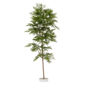 グローベン リフェイクグリーン 人工植物 樹木・屋内用 エバーフレッシュ H1500 専用土台付き