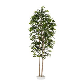 グローベン リフェイクグリーン 人工植物 樹木・屋内用 トネリコ H1500 専用土台付き
