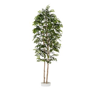 O[x tFCNO[ lHA ؁Ep glR H1800 pyt