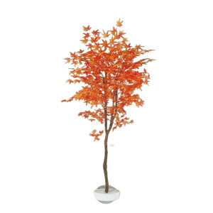 O[x tFCNO[ lHA ؁Ep ~WiIWj H1800 pyt