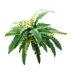 O[x tFCNO[ lHA Ep {Xgt@B A70NC105