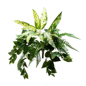 O[x tFCNO[ lHA Ep V_AWA A70NC406