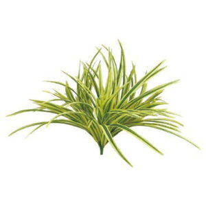 O[x tFCNO[ lHA Ep u@CG[ A70NS614