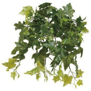 O[x tFCNO[ lHA K[hEp CObVACr[ A70NS570