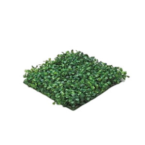 O[x tFCNO[ lHA pEp cQ}bg A70NT271