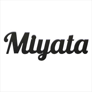 ZNtg ACANtg\D NVJ_ IS-32- w\D TC ˌx