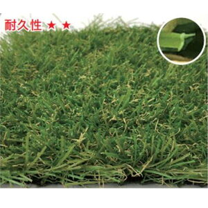 �r�[���C�t�G�X �l�H�� K�^�[�tV (����(V�^)���J�[��) #5505977 ���F2m�@10m���� �ō��F30mm