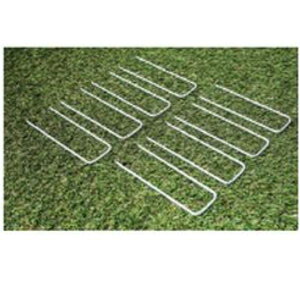 r[CtGX K^[t IvV Œs (8{) #5501705