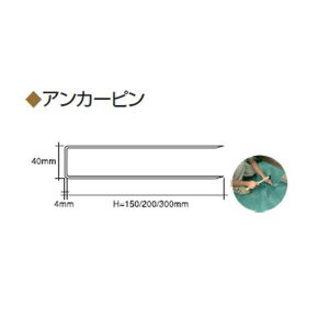 r[CtGX A[^[t IvV AJ[s #5501815
