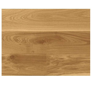 VRؕ GRv[[ I[NOw i`O[h LIVOSICh 138mm g[Ή 1.505m2/P[X 󒍐Y PHFL0186 i`