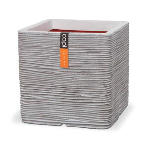 g[V Capi lC`[ u XNGA M CTN-KOFI903 AC{[