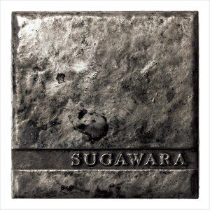 ZNtg ~m^ MM-2 w\D TC ˌx