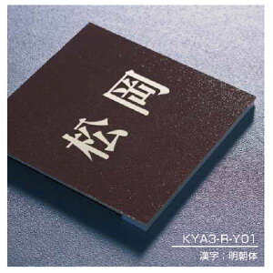 YKKAP @\和p\D ANJ[\D KYA3-R- w@\和 YKKpx w\D TC ˌx