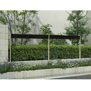 yr[ŕۏ؉z YKKAP YKK VAXtFXLite C01^ pl1 ؒF pl{̂̂ wtFX 肷 pl  iq O A~  diy    E h O\ K[f 