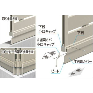 OA~ Vgi2 IvV VԃJo[R[i[Lbv(1g) wA~tFX  x