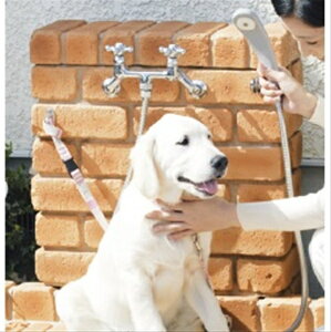 jbR[ V[vCX XNGA^CvwEp͕ʔł jbR[GNXeAx