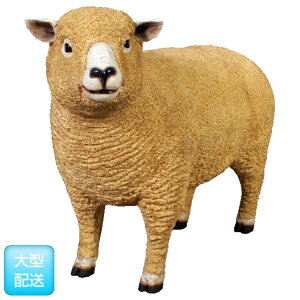 FRP C̎qr / Ryeland Ewe fr120006 wIuWF Aj}IuWF X܁ECxgx